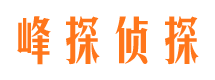 盐池出轨调查